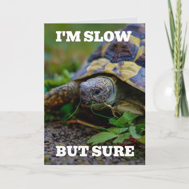 BELATED BIRTHDAY TURTLE BIG GREETING CARD (Front)