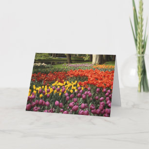 Belated Birthday Wish Keukenhof Garden Card
