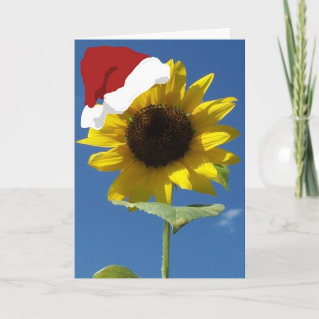Belated Christmas Holiday Card (Front)