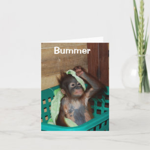 Belated Happy Birthday I'm Sorry Card