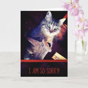 Belated Sorry Cute Tabby Kitten Replaceable Photo Card