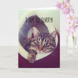 Belated Sorry Grey Tabby Kitty Placeholder Photo Card