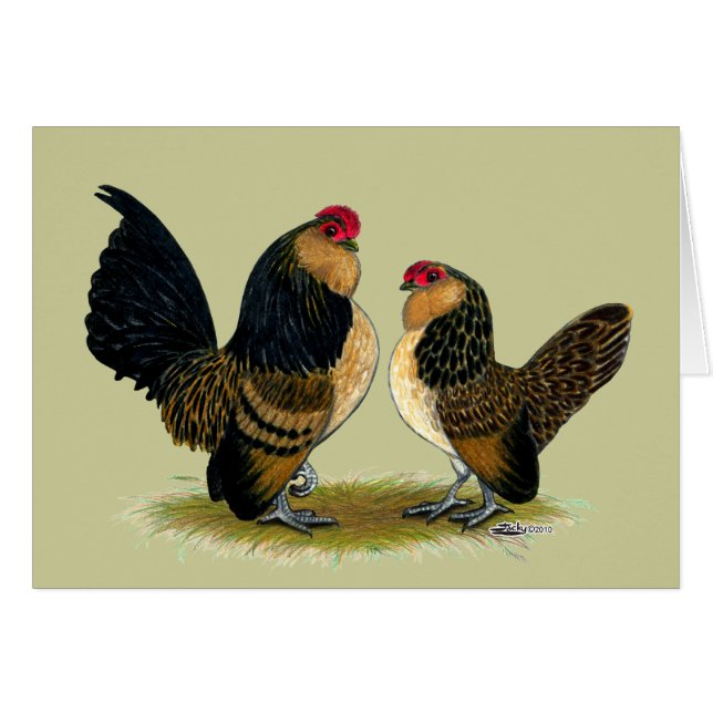 Belgian d'Anvers Bantams:  Quail (Front Horizontal)