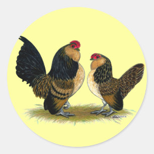 Belgian d'Anvers Bantams:  Quail Classic Round Sticker
