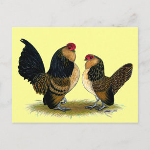 Belgian d'Anvers Bantams: Quail Postcard