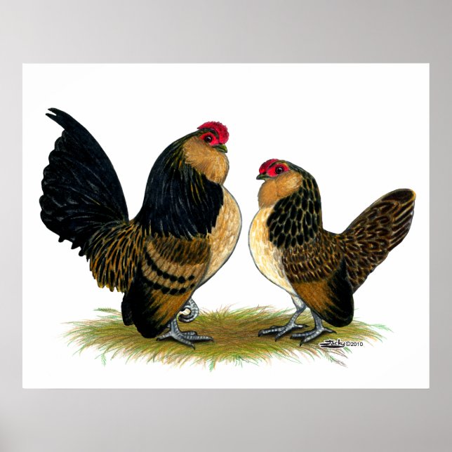 Belgian d'Anvers Bantams:  Quail Poster (Front)