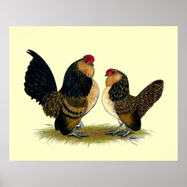 Belgian d'Anvers Bantams:  Quail Poster (Front)