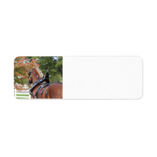 Belgian Draft Horse return address labels