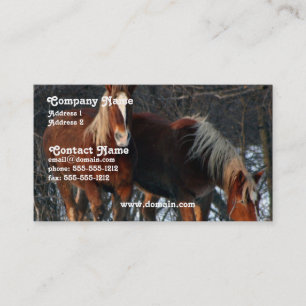 Belgian Draught   Horse Business Card