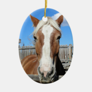 Belgian Draught   Horse Ceramic Tree Decoration