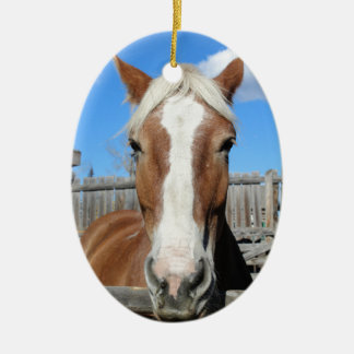 Belgian Draught   Horse Ceramic Tree Decoration