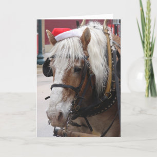 Belgian Draught Horse Christmas Holiday Card