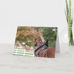 Belgian draught horse in harness greeting card
