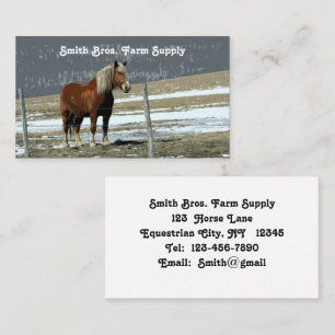 Belgian Draught Horse In Paddock Business Card