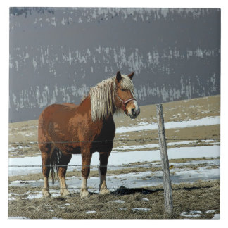 Belgian Draught Horse In Paddock Ceramic Tile