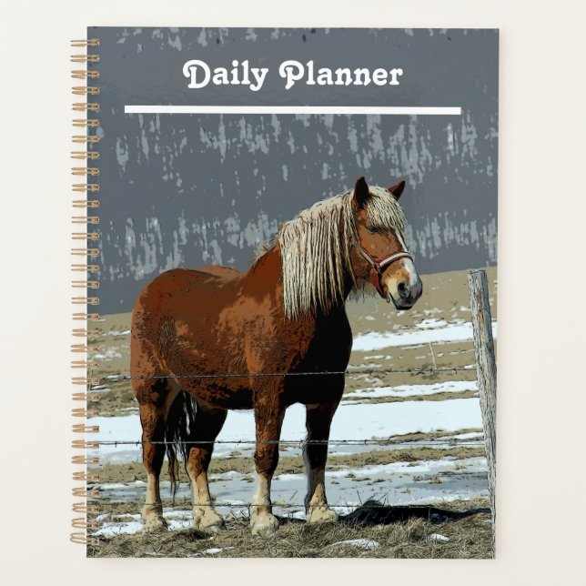 Belgian Draught Horse In Paddock Daily Planner (Front)
