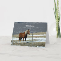 Belgian Draught Horse In Paddock Greeting Card