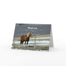 Belgian Draught Horse In Paddock Greeting Card