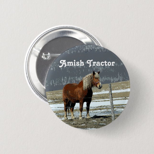 Belgian Draught Horse In Paddock Pin Button (Front & Back)