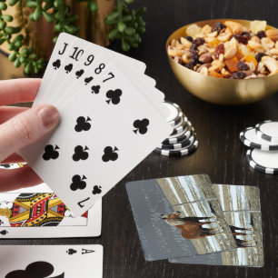 Belgian Draught Horse In Paddock Playing Cards