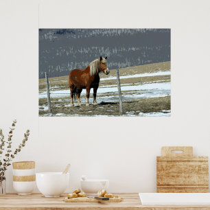 Belgian Draught Horse In Paddock Poster