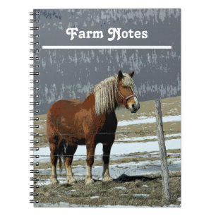 Belgian Draught Horse In Paddock Spiral Notebook