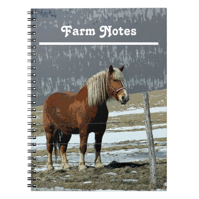 Belgian Draught Horse In Paddock Spiral Notebook (Front)