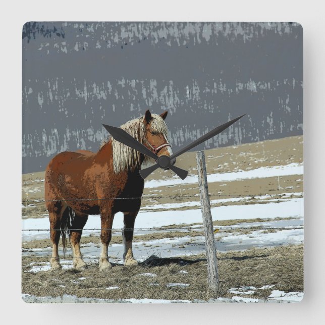 Belgian Draught Horse In Paddock Wall Clock (Front)