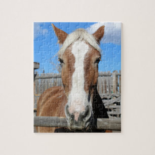 Belgian Draught Horse Jigsaw Puzzle