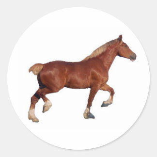 Belgian Draught Horse Sticker