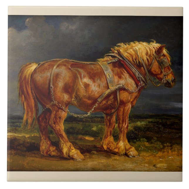 Belgian Draught   Horse Tile (Front)