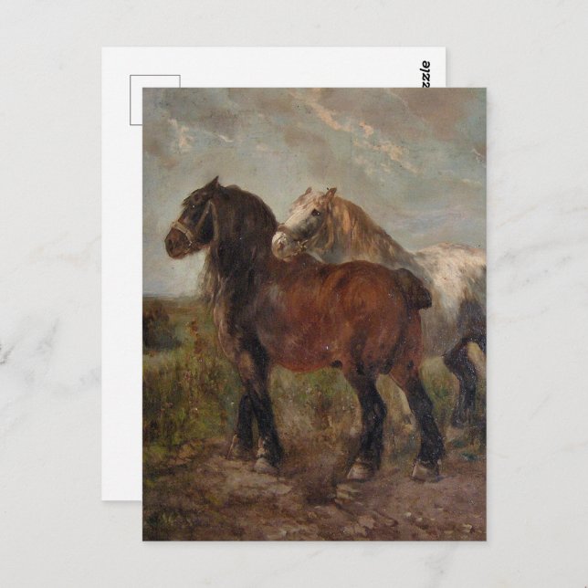 Belgian Draught Horse Vintage Fine Art Farm Painti Postcard (Front/Back)