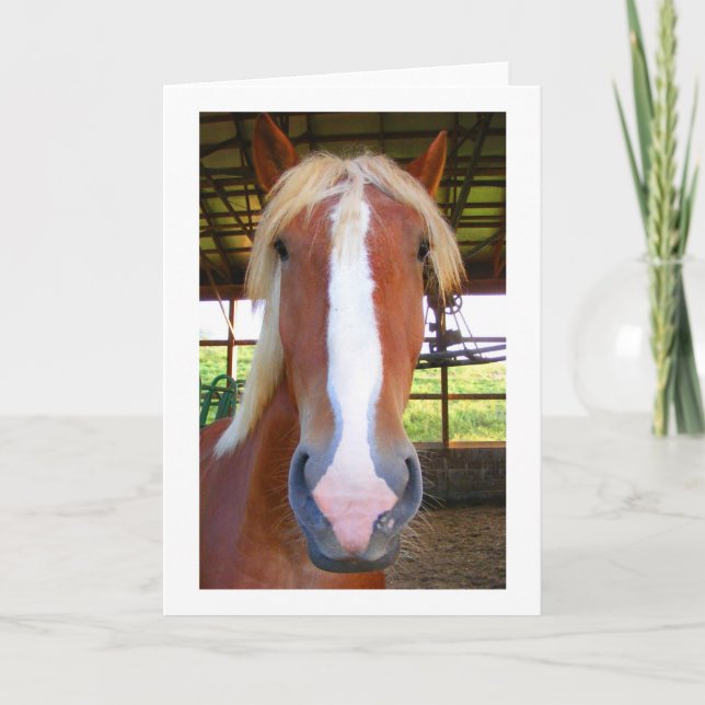 Belgian Greeting Cards (Front)