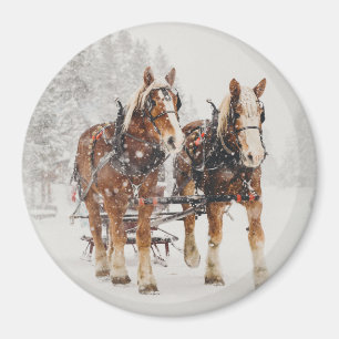 Belgian Horse Team Wintery Christmas Scene Magnet