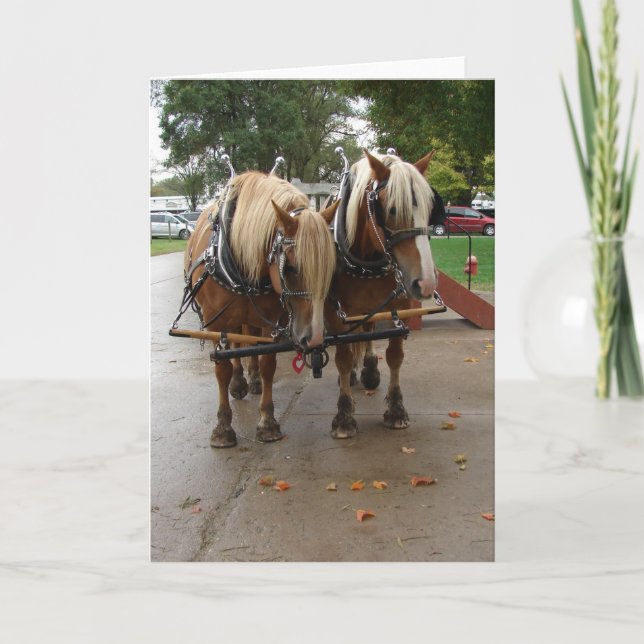 Belgian Horses Card (Front)