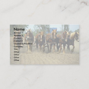 Belgian horses ploughing, six-up, Red Top Farm, Business Card