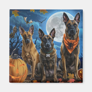 Belgian Malinoi Halloween Spooky Magnet