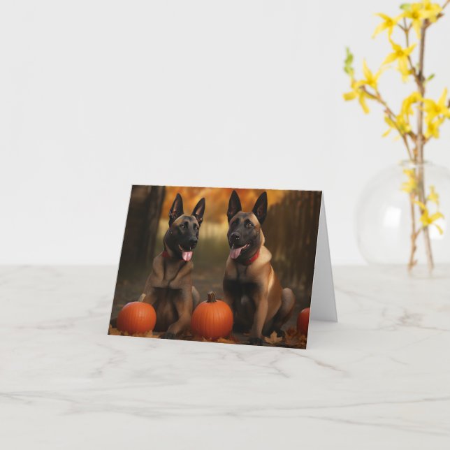 Belgian Malinoi Puppy Autumn Delight Pumpkin  Card (Yellow Flower)