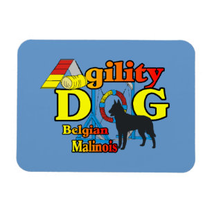 Belgian Malinois Agility Magnet