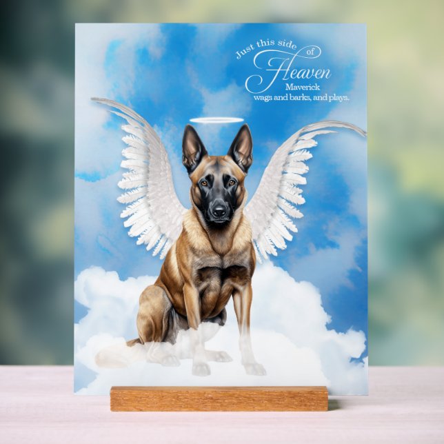 Belgian Malinois Angel with Name Pet Memorial Acrylic Sign (Neutral)