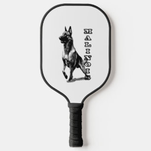 Belgian Malinois are the Best Pickleball Paddle