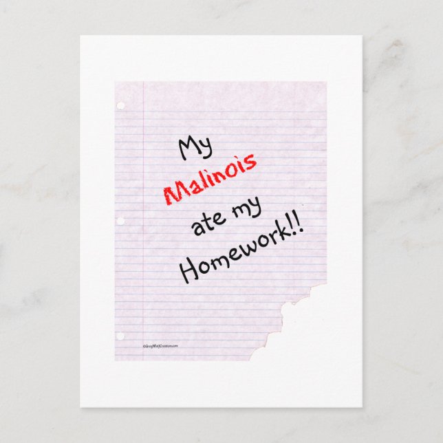 Belgian Malinois Ate My Homework Postcard (Front)