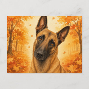 Belgian Malinois Autumn Forest Dog Postcard