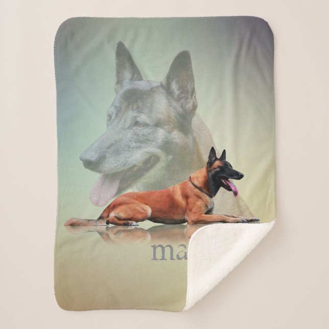 Belgian Malinois - Belgian shepherd -Maligator Sherpa Blanket (Front)
