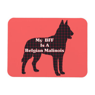 Belgian Malinois BFF Magnet