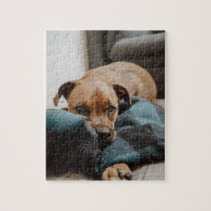Belgian Malinois Boxer   Puppy on Blanket Photo Jigsaw Puzzle