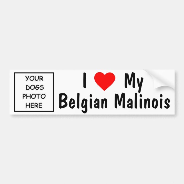 Belgian Malinois Bumper Sticker (Front)