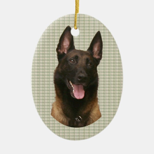 belgian malinois ceramic tree decoration (Front)