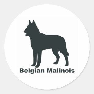 Belgian Malinois Classic Round Sticker