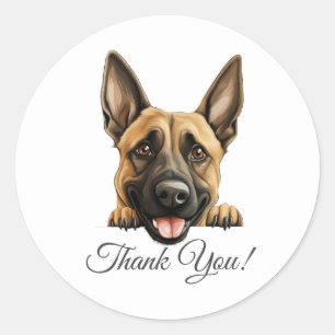 Belgian Malinois Cute Dog Thank You Classic Round Sticker